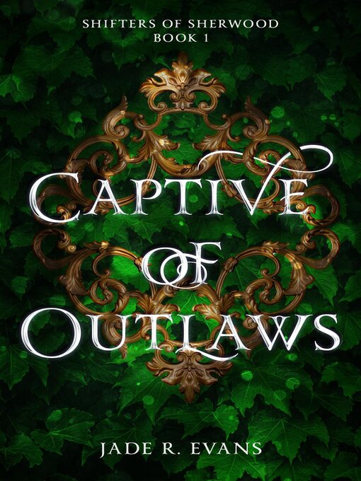 Cover image for Captive of Outlaws